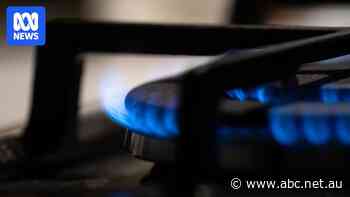 Does more gas supply mean cheaper power bills for Australians? Here's what we know
