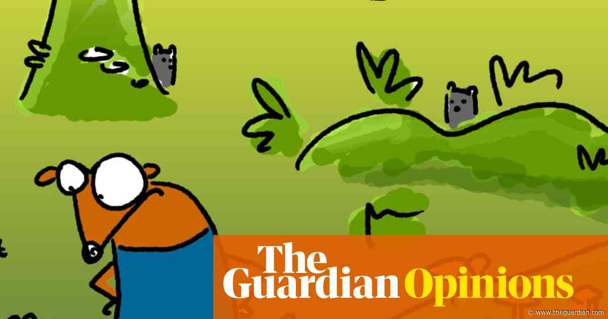 I went to an ancient rainforest with 90 artists and lived! Despite my endless cynicism I had a lovely time | First Dog on the Moon