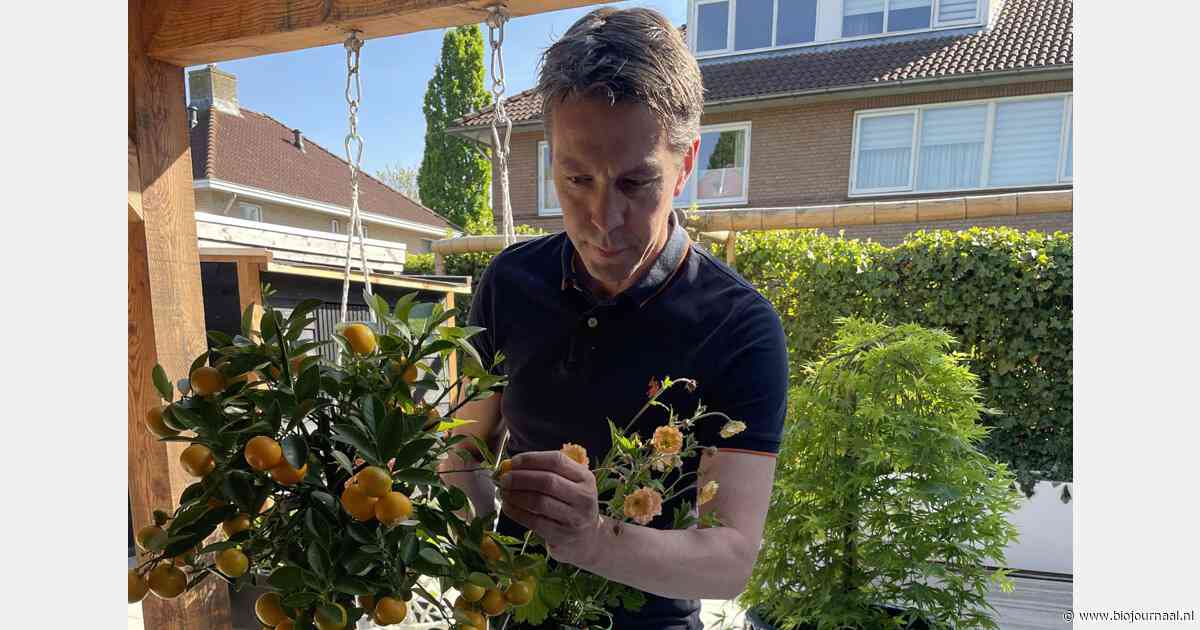 "Ik hou wel van dat schizofrene gevoel"