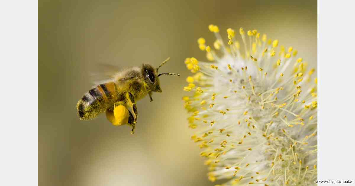 Biodynamische boeren zetten deuren open tijdens Meimaand Bijmaand