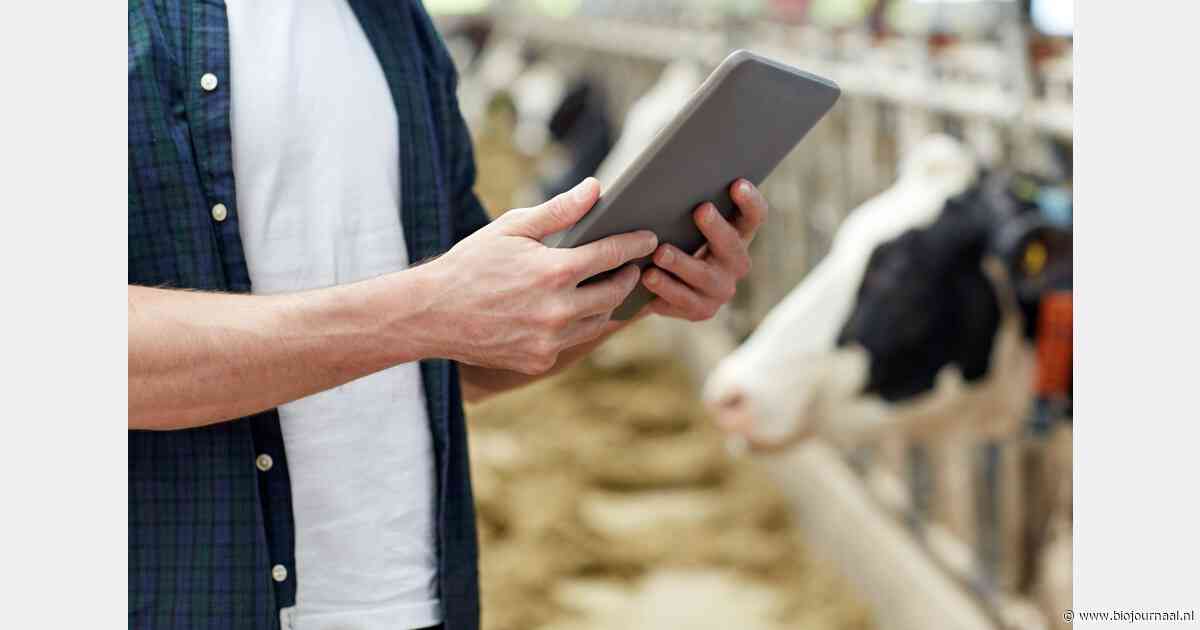 "Gebrek aan langetermijnvisie in stikstofplannen laat boeren in onzekerheid"