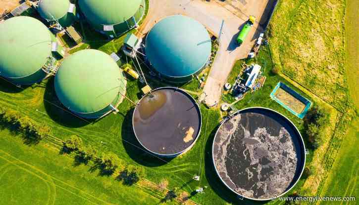 Biomass billions under fire? Public money use questioned