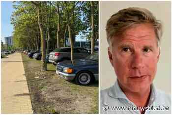 Vlaams Belang vraagt méér politie en boetes voor overlast op zomerse dagen: “Mensen zijn het beu”