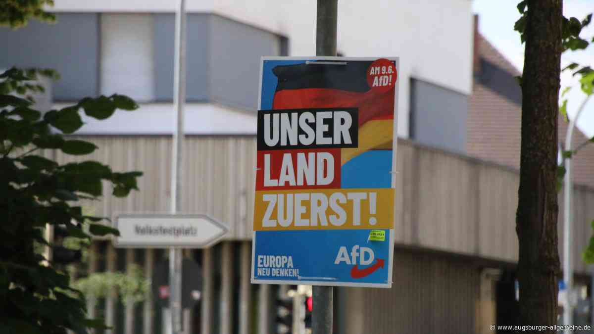 AfD stellt im Kreis Neuburg keinen Landratskandidaten