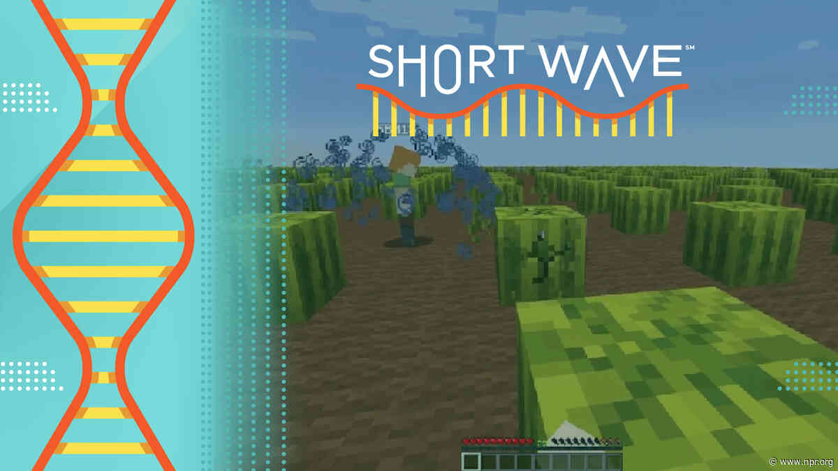 What playing Minecraft tells researchers about social learning