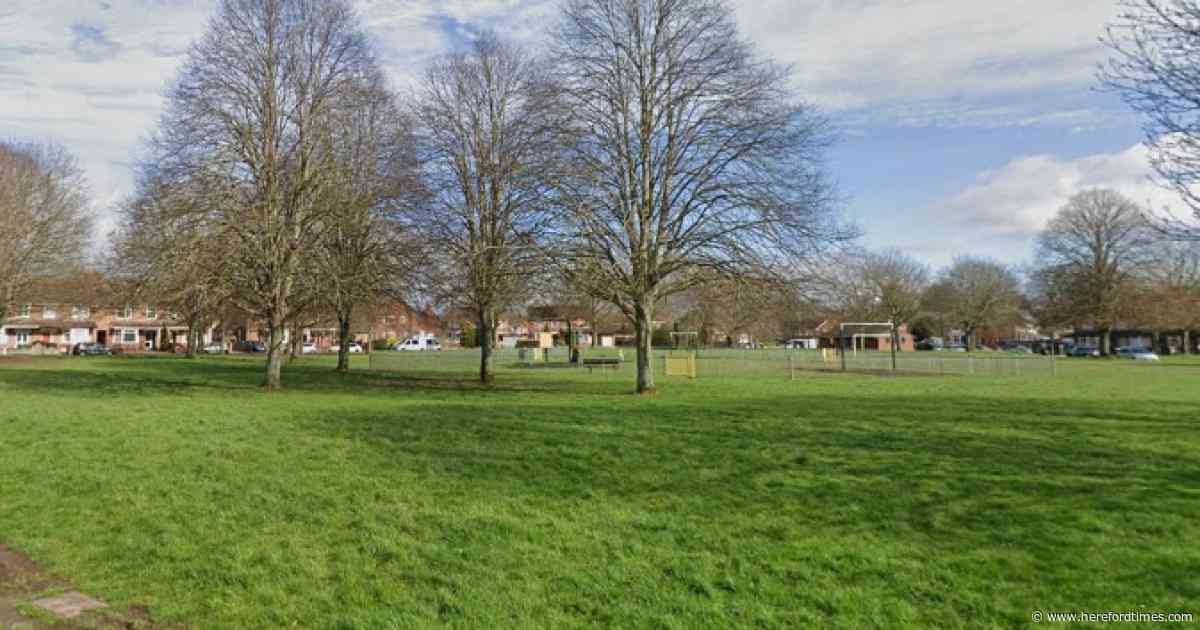 Police probe after man 'kicked' in play area incident