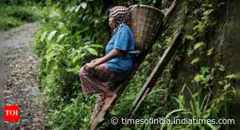 Climate change takes spice from Indonesia clove farms