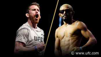 Weigh-In Results | UFC Des Moines