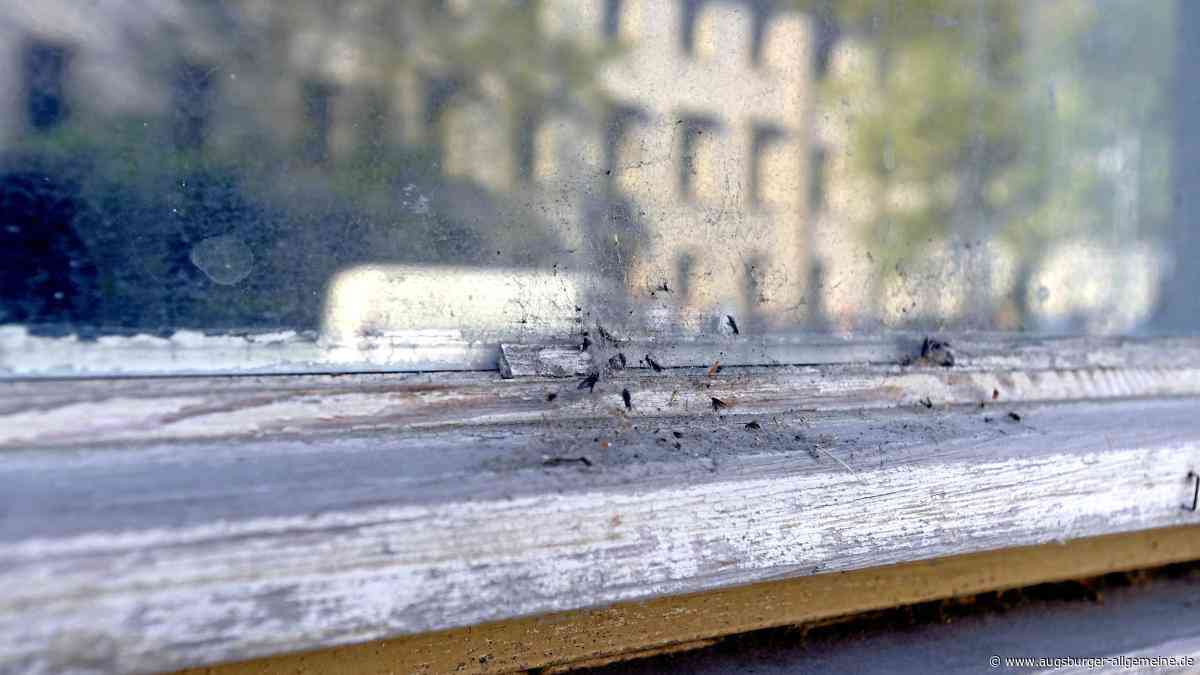 Ausgefallene Reinigung an Schulen: Die Stadt hätte früher reagieren müssen