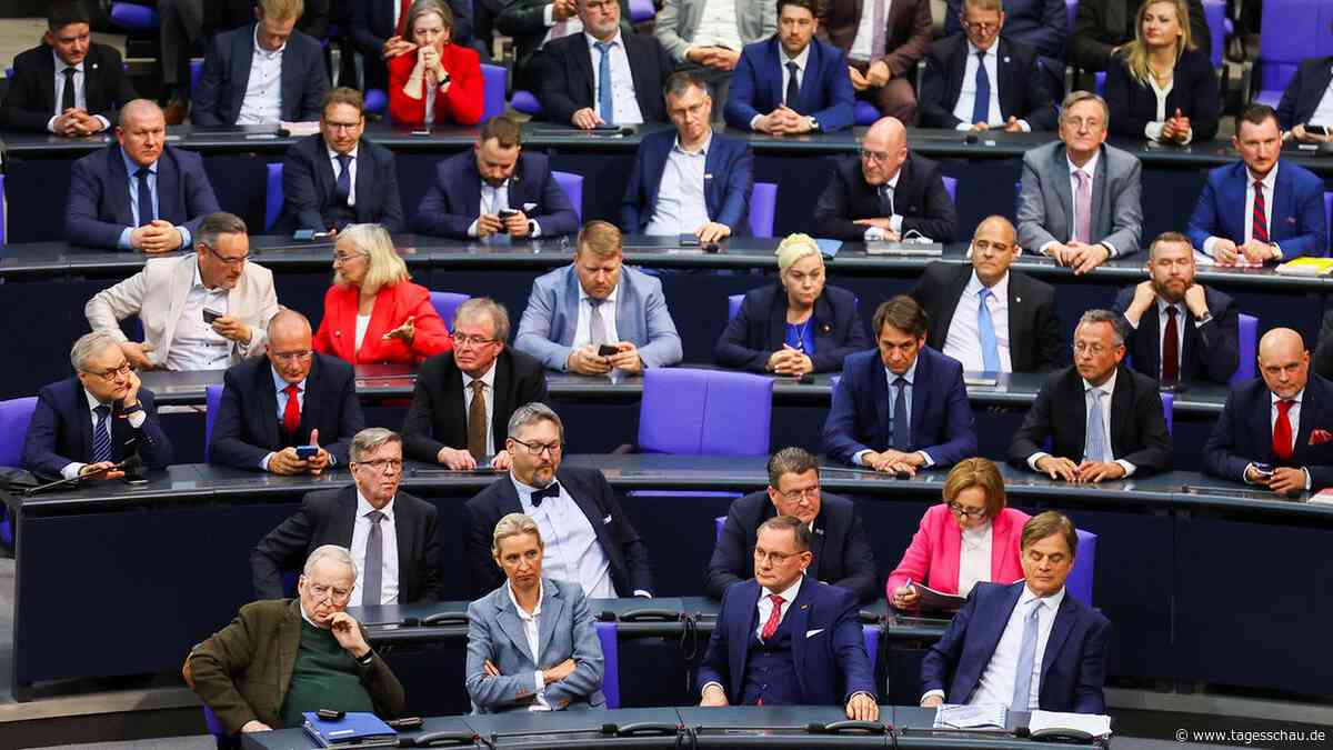 Rufe nach AfD-Verbot werden lauter