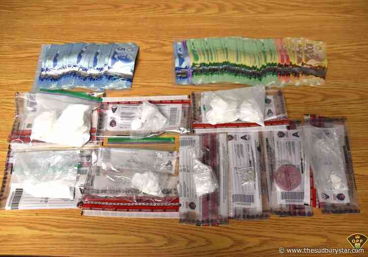 Greater Sudbury Police dog puts bite on Toronto drug dealer