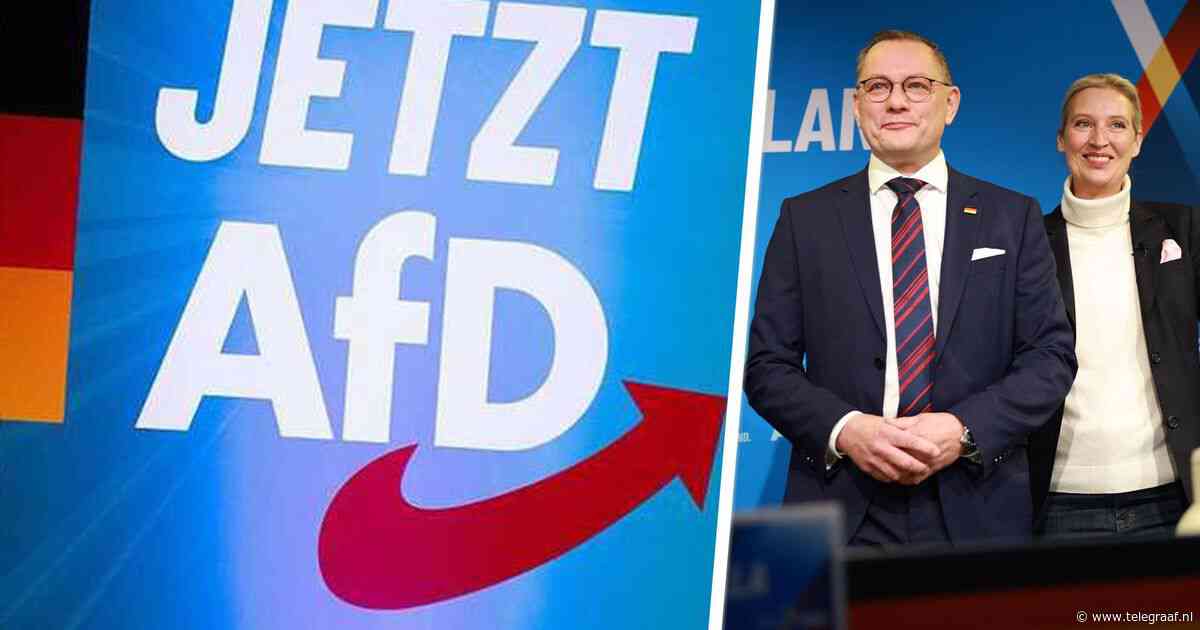 AfD nu officieel staatsgevaarlijk: 'Kan ambtenaren hun baan kosten'