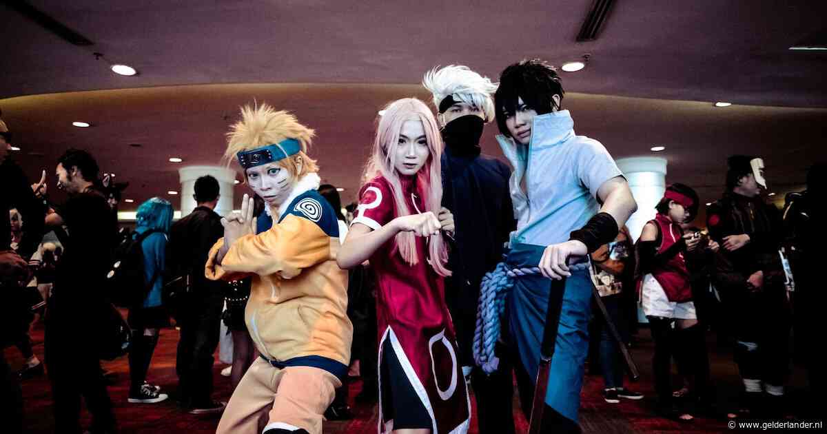 Cosplayers uit Arnhem gezocht: laat jouw personage zien