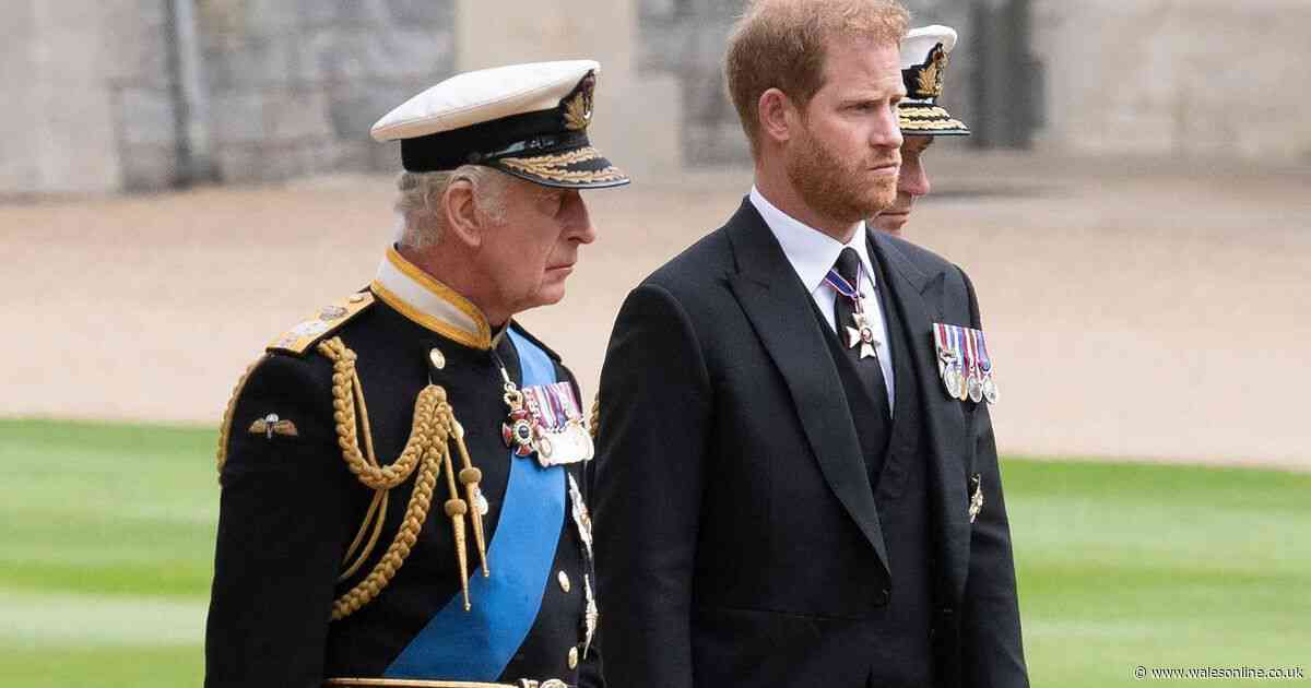 Harry's fears for King Charles' future as he says he 'will never be forgiven'