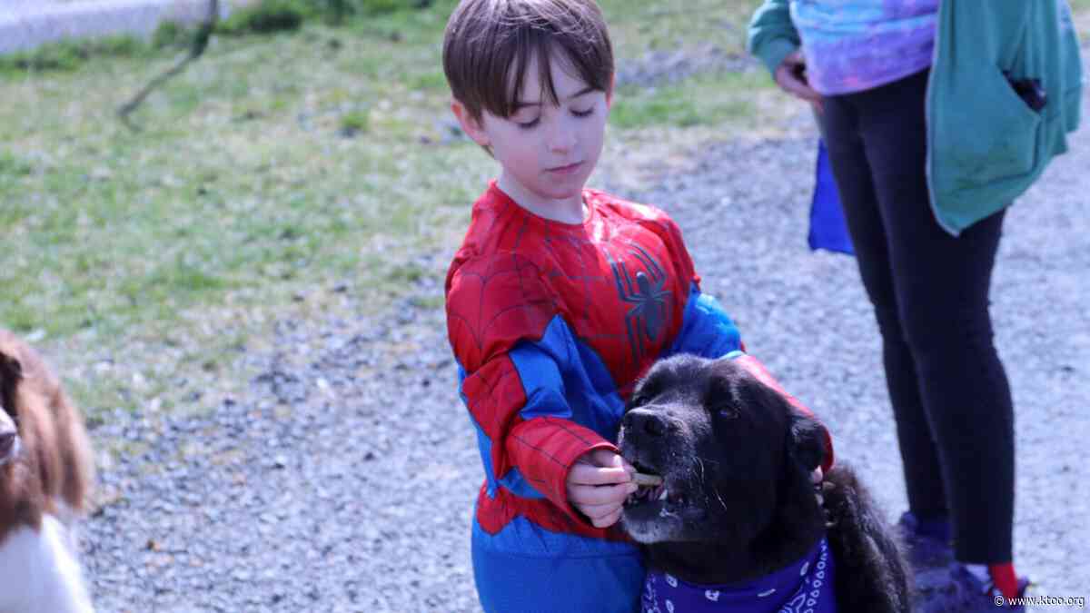 Juneau’s child advocacy center holds Superhero Walk amid funding instability