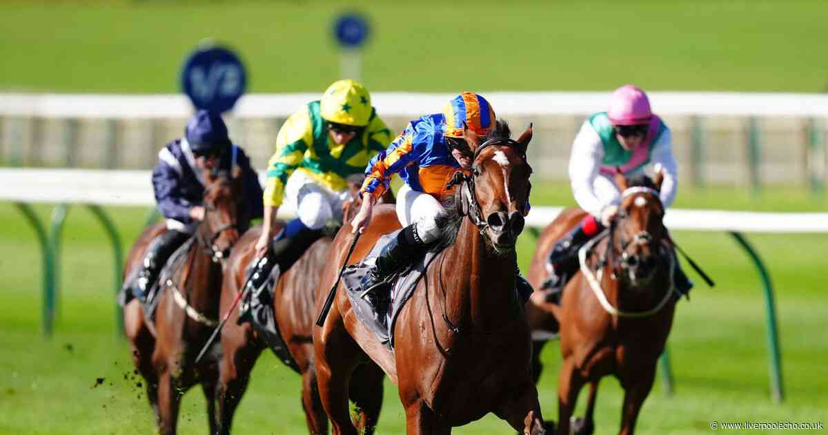Horse Power: Expanded to triumph in the 2,000 Guineas at Newmarket