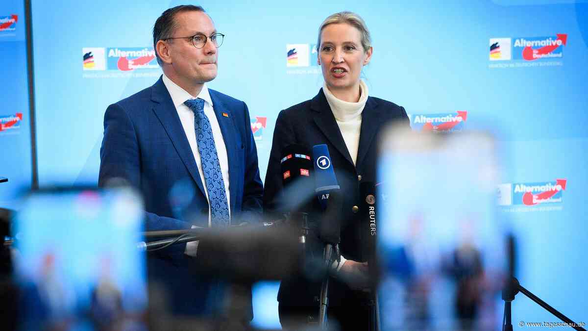 Warum die AfD als "gesichert rechtsextremistisch" eingestuft wird