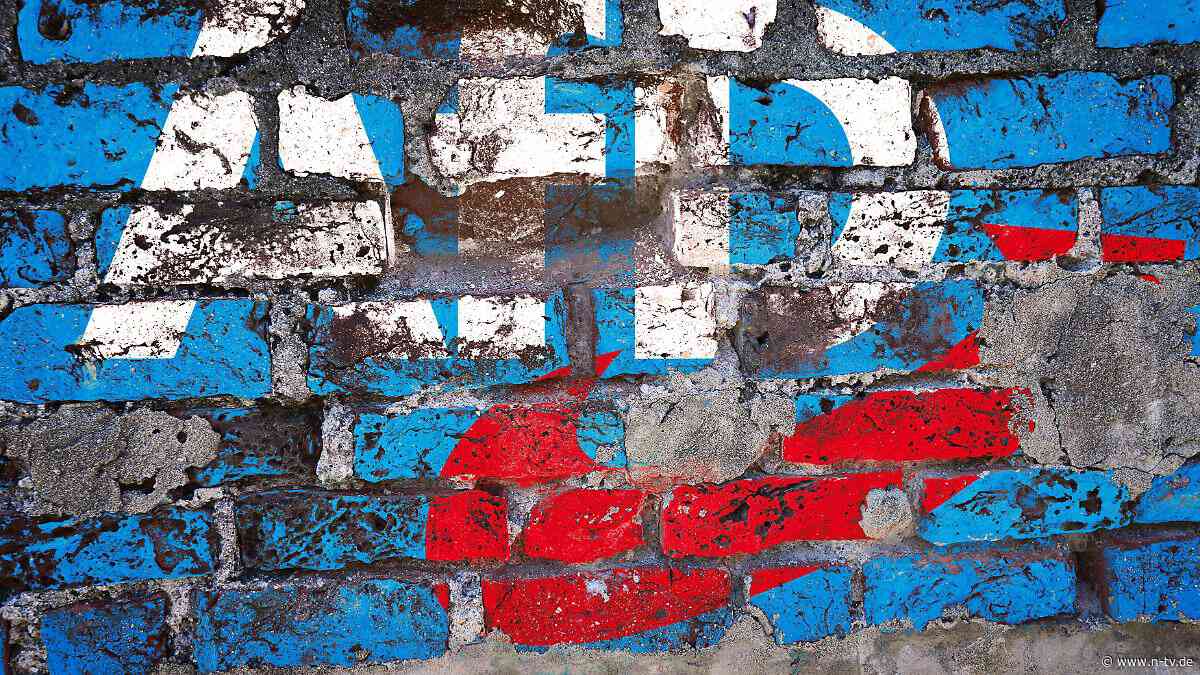 Einstufung als rechtextrem: Es braucht ein AfD-Verbot