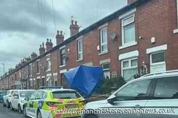 Nephew who repeatedly stabbed auntie guilty of attempted murder