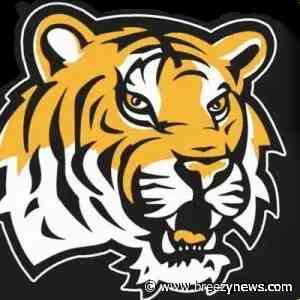 Ethel softball playoff game postponed due to weather