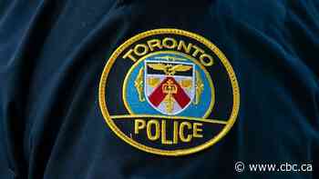 Man rescued after small plane lands in Lake Ontario, Toronto police say