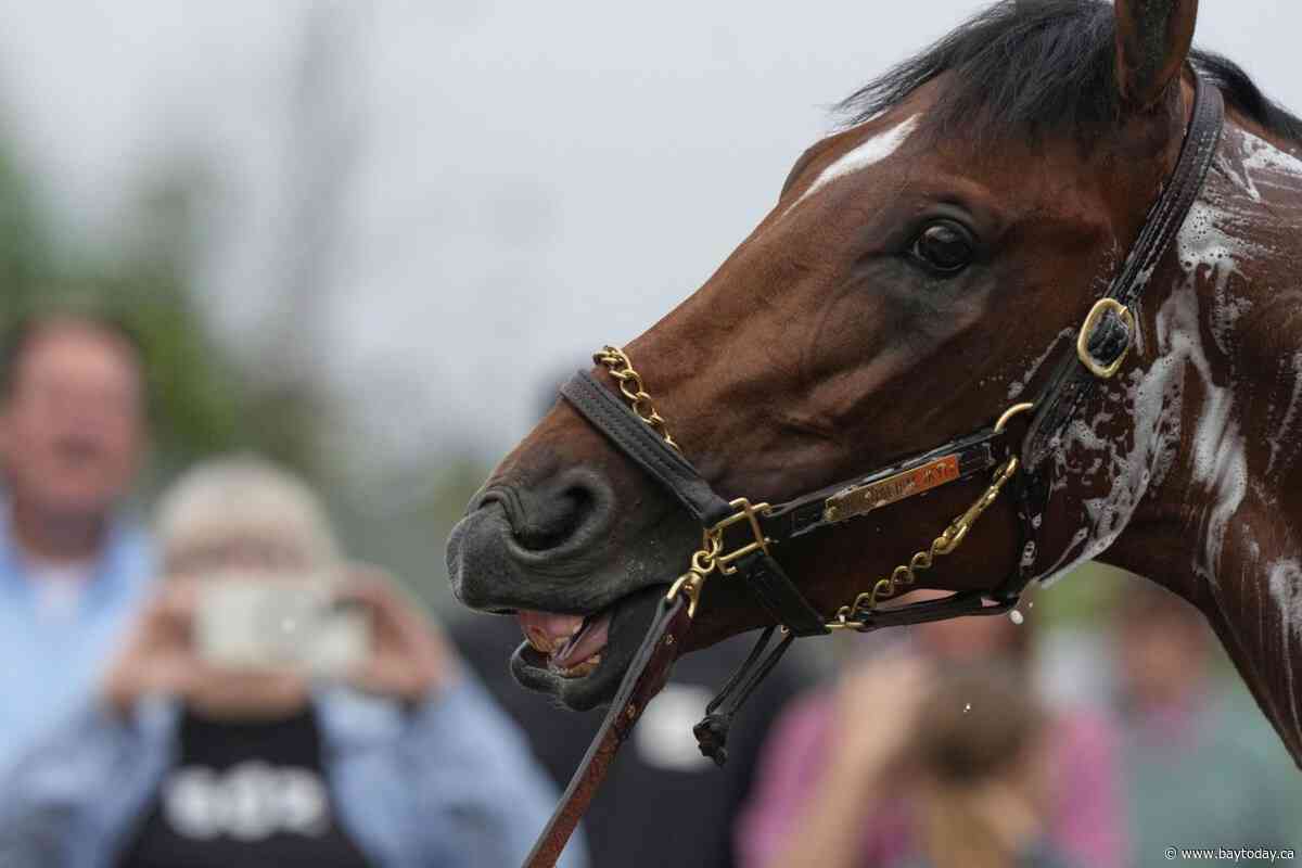 The 151st Kentucky Derby could be a mudder's delight with rain in the forecast