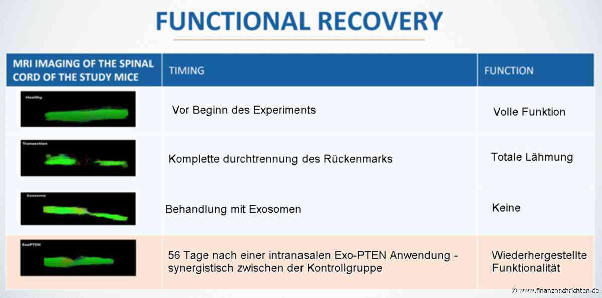 Achtung News! Hat NurExone die Milliarden-Formel in der Schublade?!