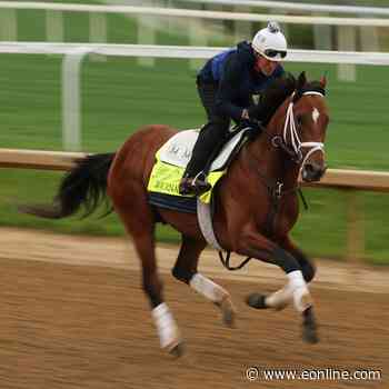 An Expert’s Guide to the Kentucky Derby