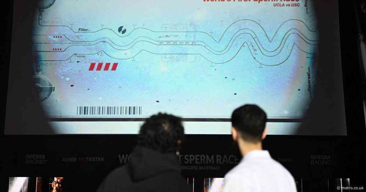 ‘World’s first sperm race’ in sticky situation after ‘faking live event’