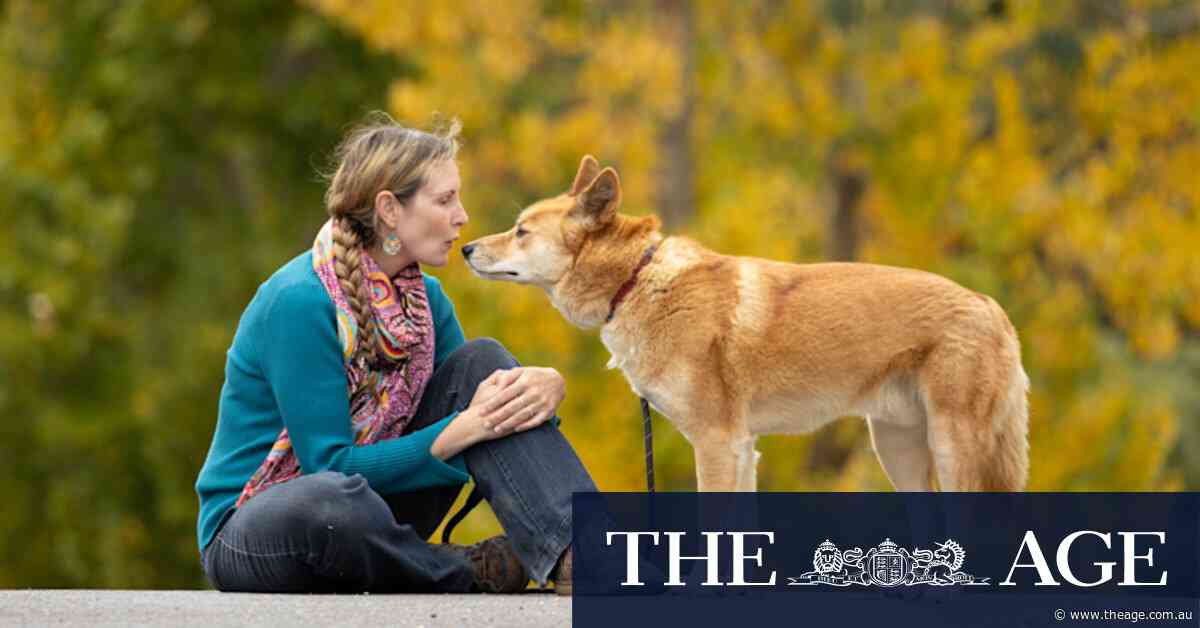 The Age photos of the week, May 3, 2025