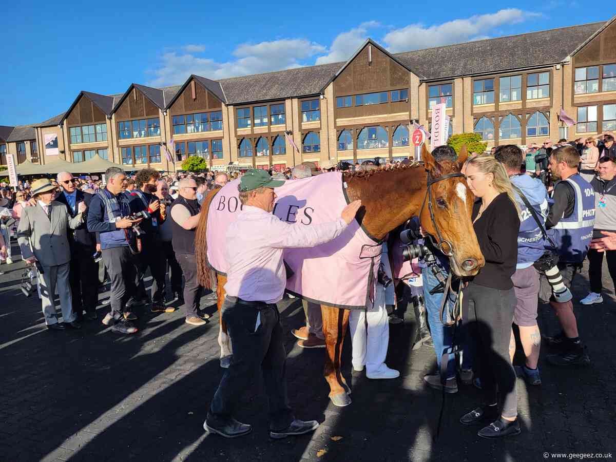 State Man rules supreme in Champion Hurdle showdown