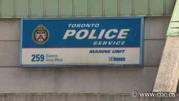 Man rescued after small plane makes emergency landing in Lake Ontario, Toronto police say