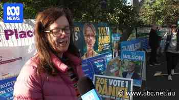 Goldstein voters on impact of teal wave in federal election
