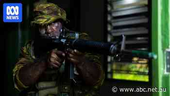 Could a new foreign legion fill the gaps in Australia's defence force?