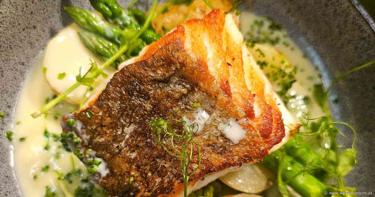 The pretty village pub with great-value food which just demands to be visited