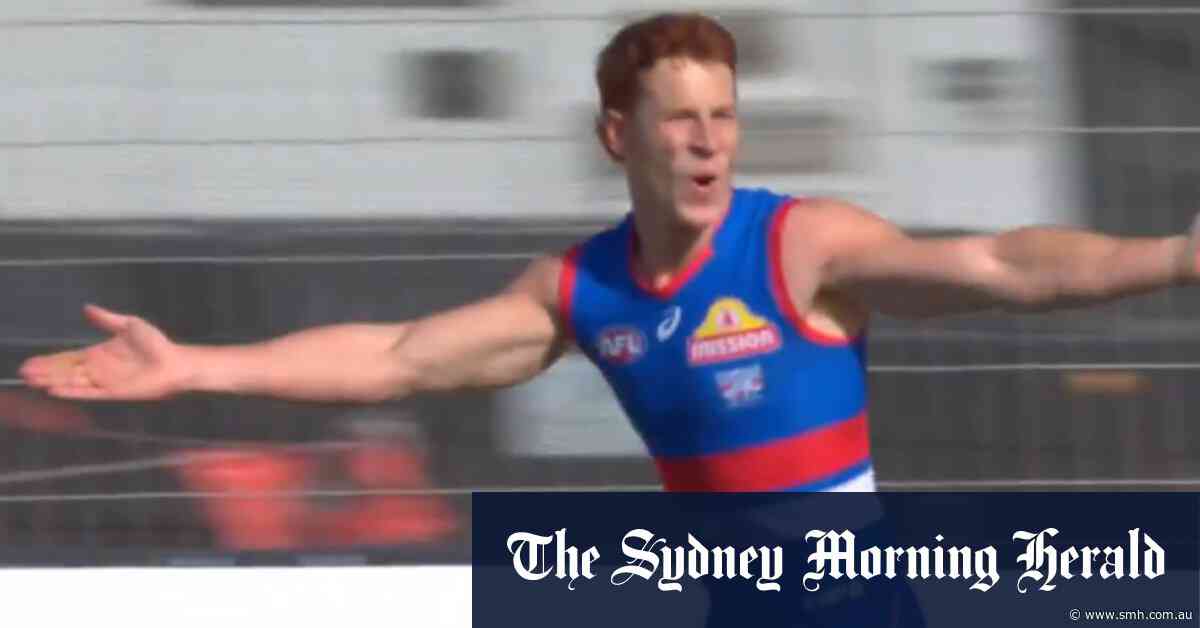 Dogs star kicks stellar goal