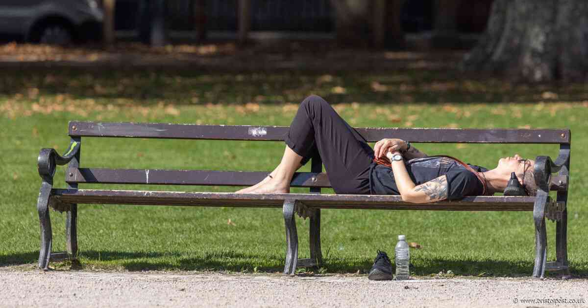 Bristol's best park: nominate your favourite in the city