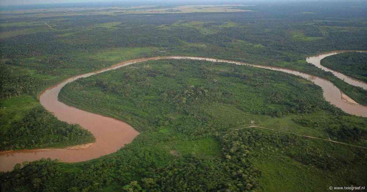 Vijf mensen onder wie een kind overleven 36 uur in moeras vol krokodillen na noodlanding in Bolivia