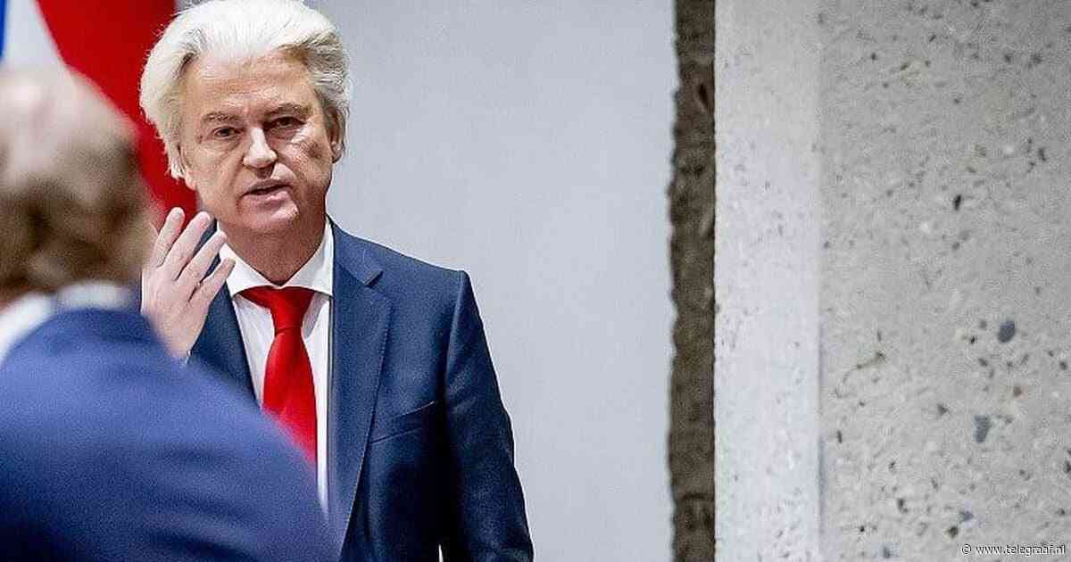 ‘Daar hoeft Geert Wilders zich denk ik geen zorgen over te maken’