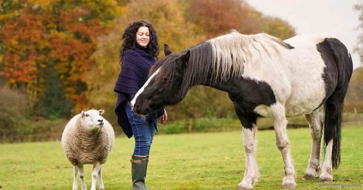 'I realised I wasn’t a bad mother. Being with horses healed me'