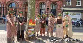 WATCH: Activists dress as trees to stage dance protest in York city centre