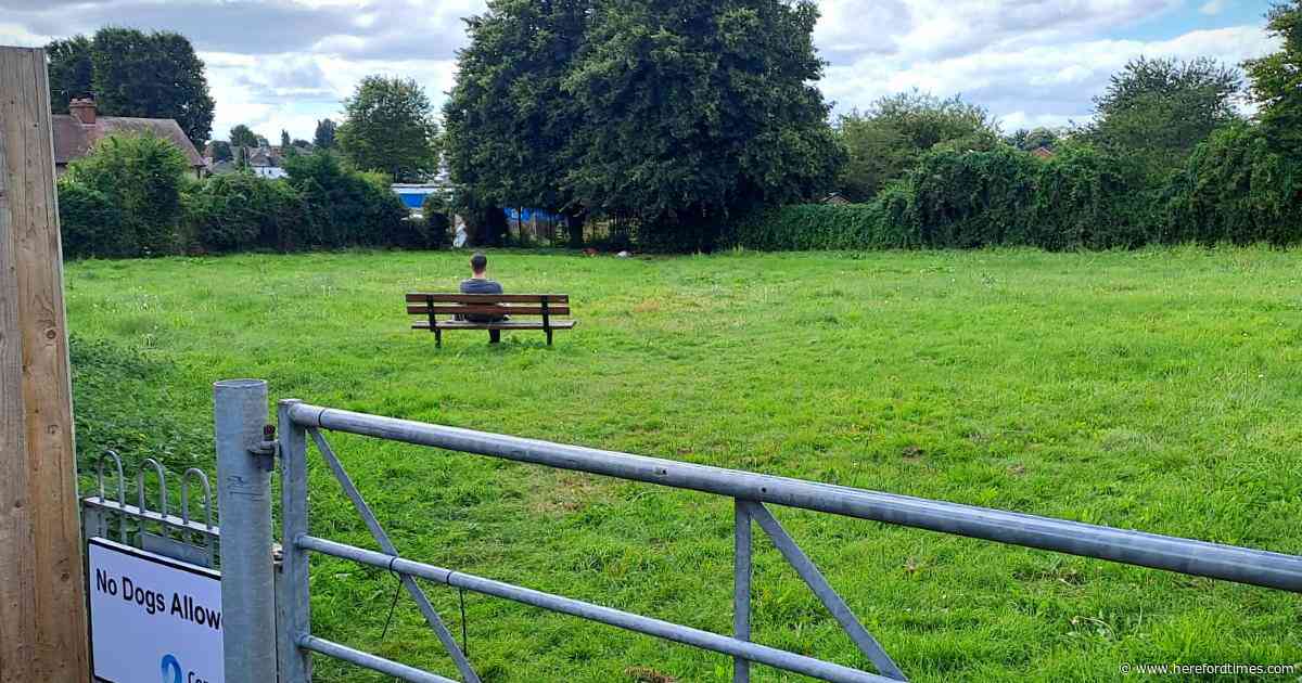 New moves in fight against new allotments