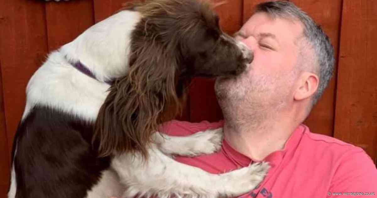 Warning after beloved dog bitten by adder in 'bizarre incident'