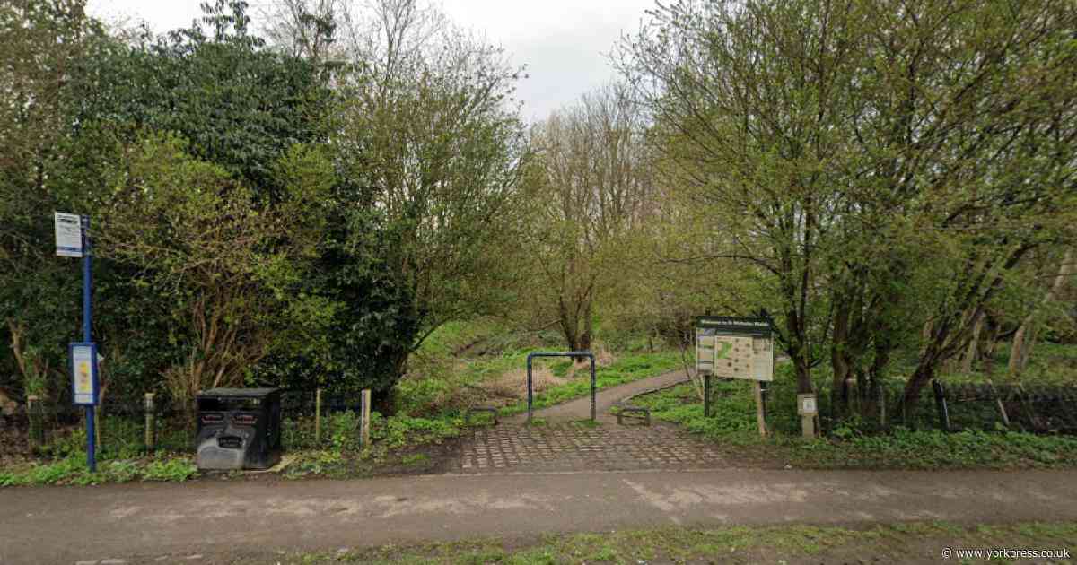 Crews battle fire in York nature reserve