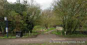 Crews battle fire in York nature reserve