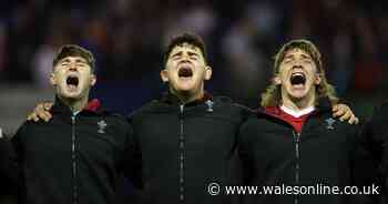 The Wales players tipped to break through for the next World Cup as new head coach has big task