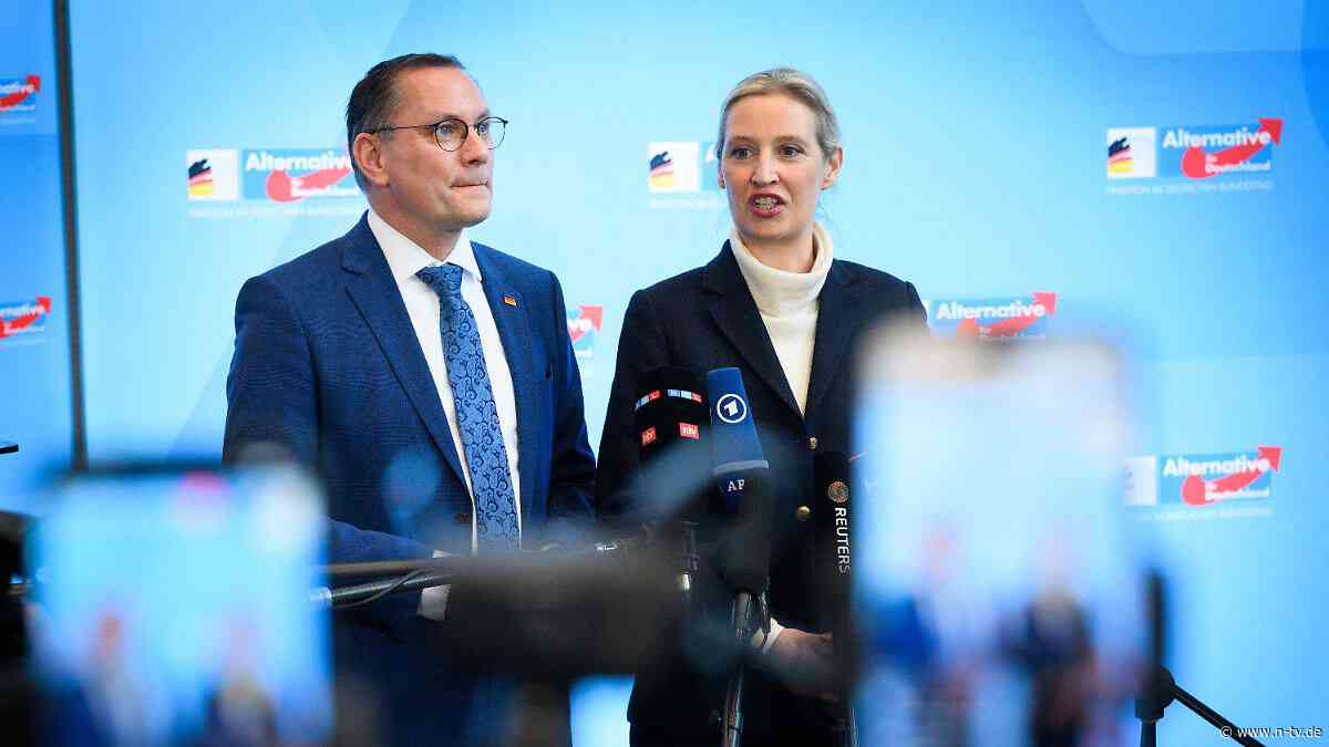 Groteske AfD-Kritik an Gutachten: Getroffene Blaue bellen