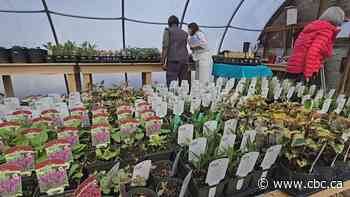 Making the most out of moths and other unsung heroes of pollination