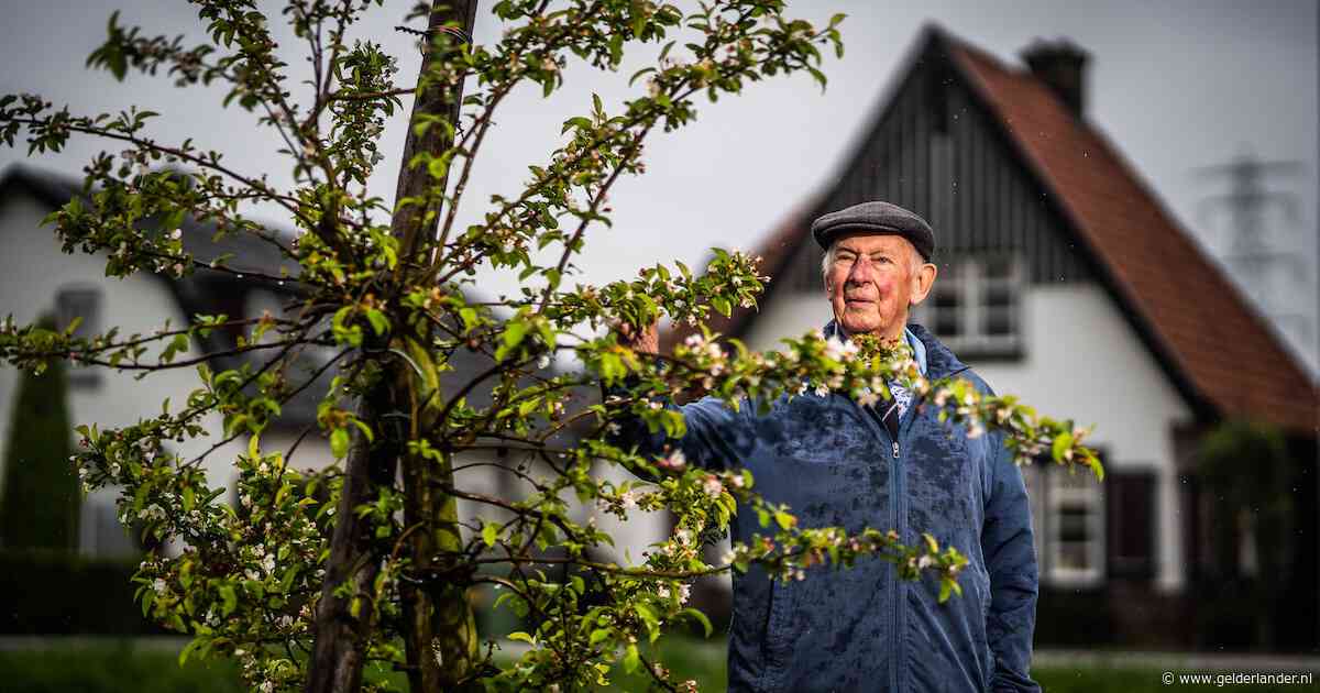 Ik moet bekennen: Daan heeft een bepaalde uitwerking op mij
