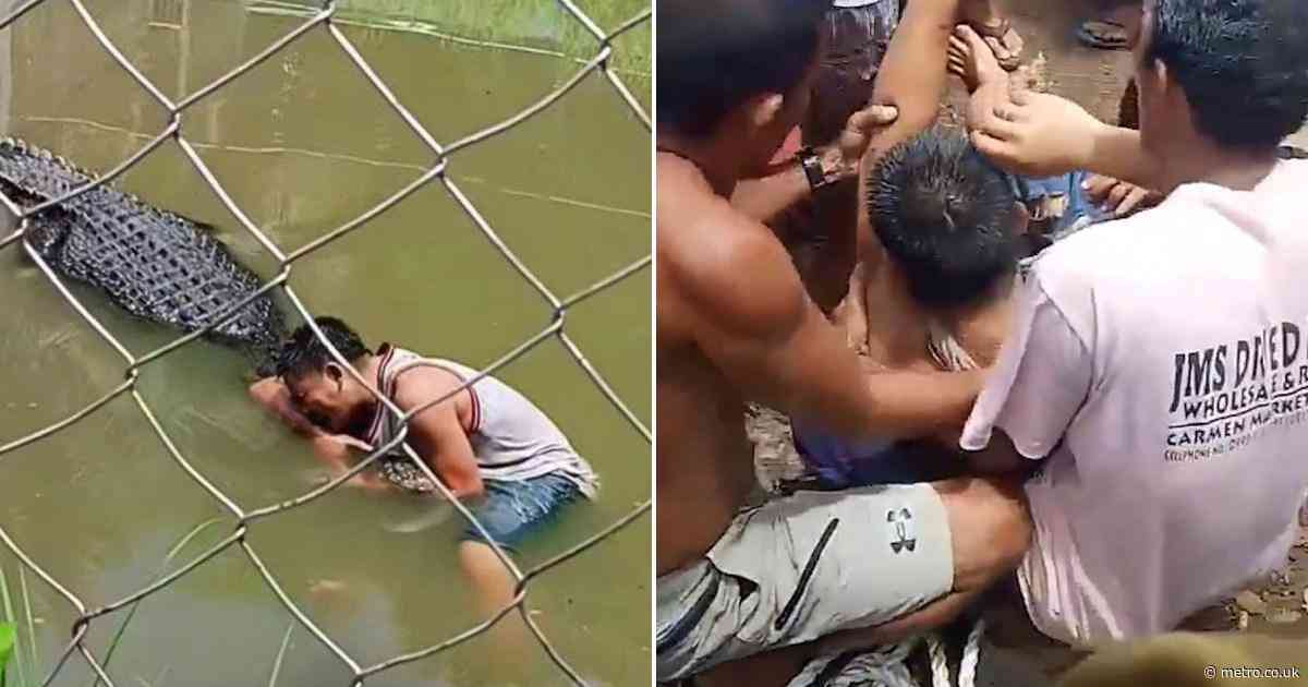 Tourist taking selfie with ‘fake’ crocodile realises his mistake the hard way